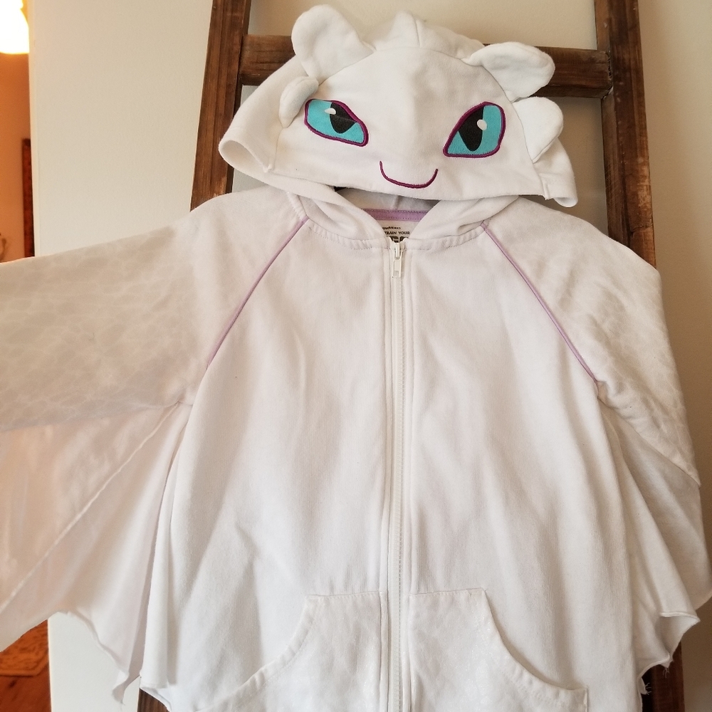 Hidden World Light Fury Hoodie